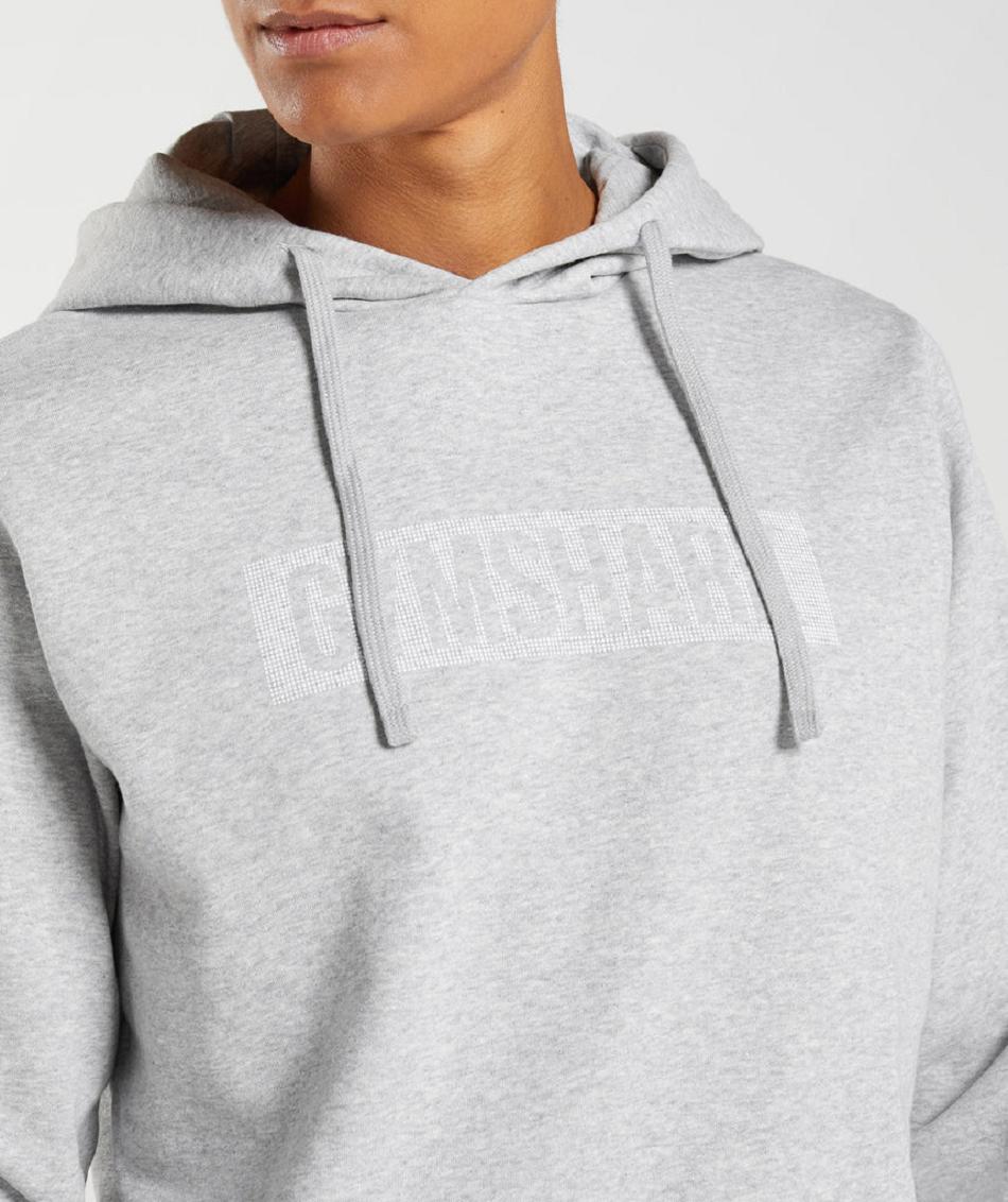 Sudadera Con Capucha Gymshark Block Hombre Gris Claro | CO 3624VRW